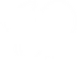 Dynamo's signature